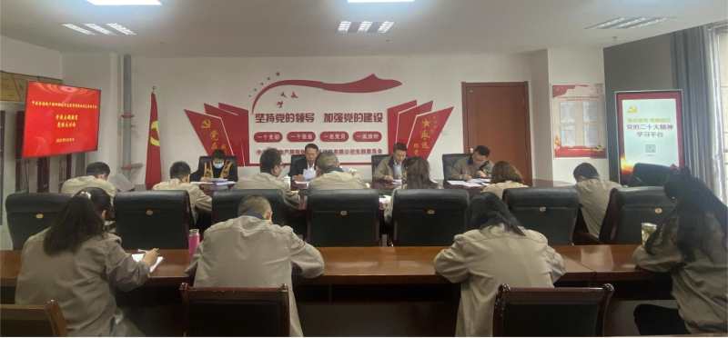 錘煉黨性找差距 堅定信念促擔(dān)當(dāng)&mdash;&mdash;青海物產(chǎn)朝陽物流開發(fā)投資有限公司黨支部開展主題教育黨性大討論