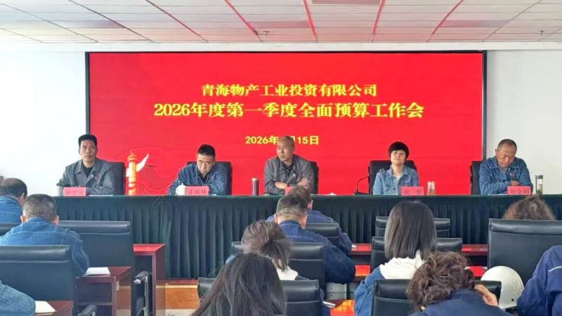 工投公司召開一季度預(yù)算執(zhí)行情況分析會(huì)