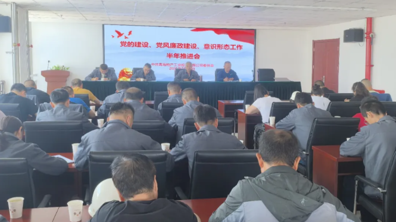工投公司黨委召開黨的建設(shè)、黨風(fēng)廉政建設(shè)、意識形態(tài)工作半年推進(jìn)會