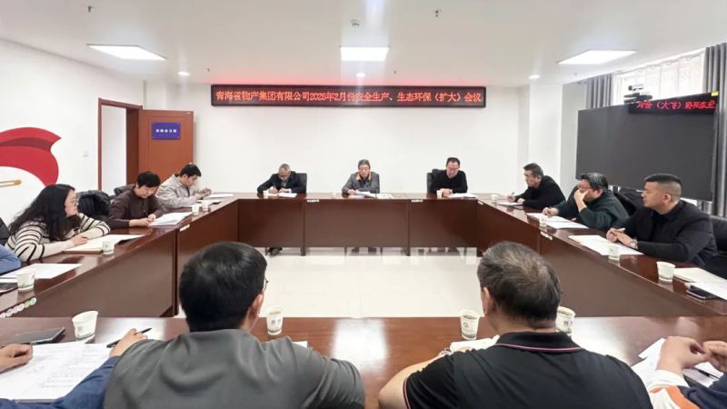 集團召開2025年2月份安全生產、生態(tài)環(huán)保（擴大）會議