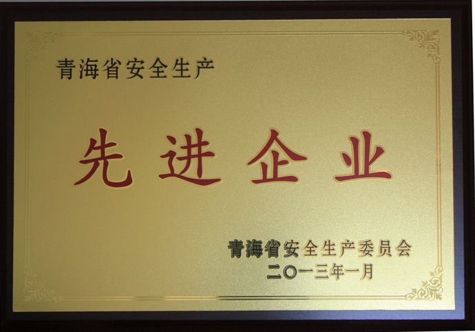 青海物產(chǎn)榮獲&ldquo;2012年度安全生產(chǎn)先進(jìn)企業(yè)&rdquo;榮譽(yù)稱號(hào)